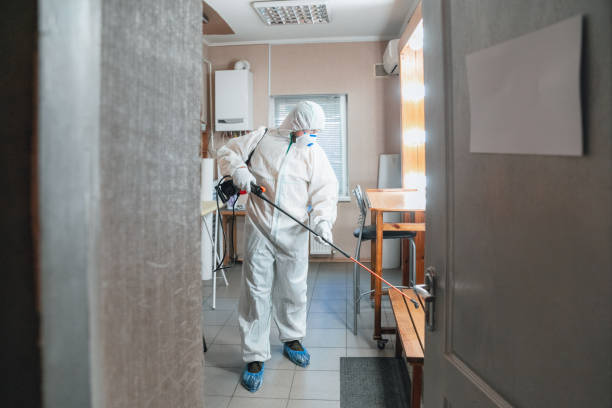 Best Mold Odor Removal Services  in Seeley Lake, MT