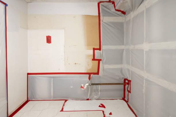 Best Industrial Mold Remediation  in Seeley Lake, MT