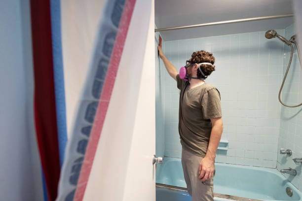 Professional Mold Removal in Seeley Lake, MT
