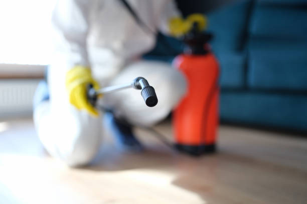 Best Mold Documentation for Insurance Claims  in Seeley Lake, MT