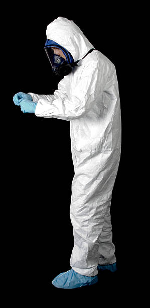 Best Mold Damage Restoration  in Seeley Lake, MT