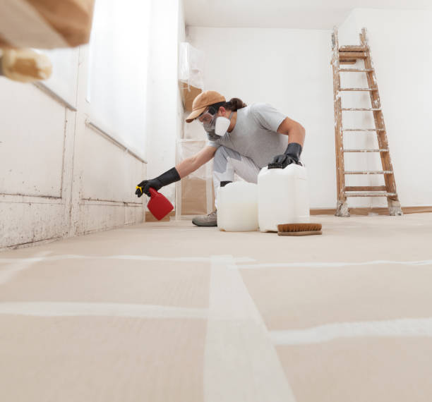 Best Water Damage & Mold Remediation  in Seeley Lake, MT