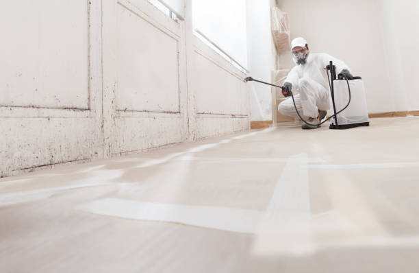 Asbestos and Lead Testing During Mold Inspection in Seeley Lake, MT